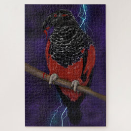 Dracula Parrot