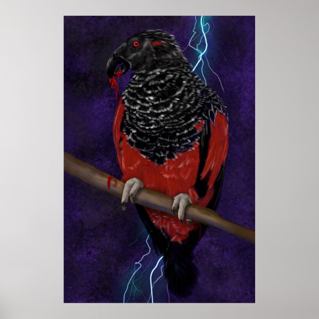 Dracula Parrot Poster (Vorne)