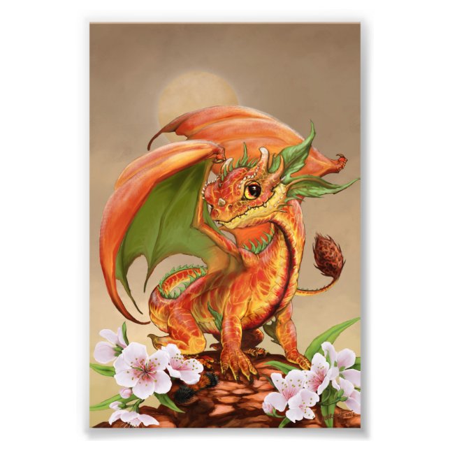 Dragon 4x6 drucken fotodruck (Vorne)