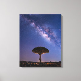 Dragon Blood Tree Milky Way Canvas  Ancient Nature Leinwanddruck