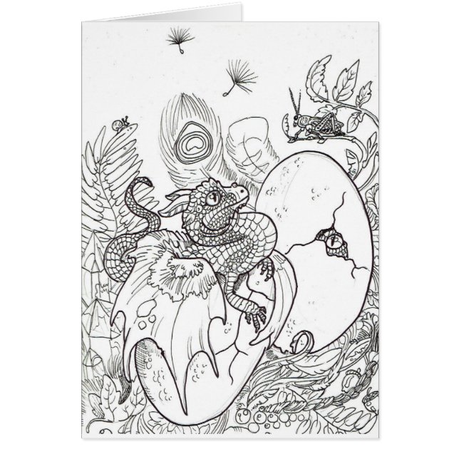 Dragon de Hatchs (Devant)