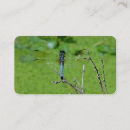 Dragon Fly Business Cards Visitenkarte