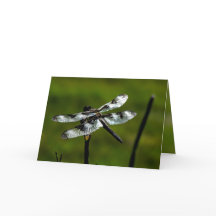 Dragon Fly Grußkarten