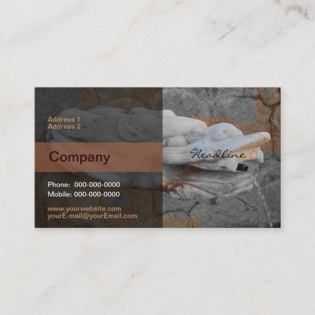 Dragon Fotain Business Card Visitenkarte (Vorderseite)