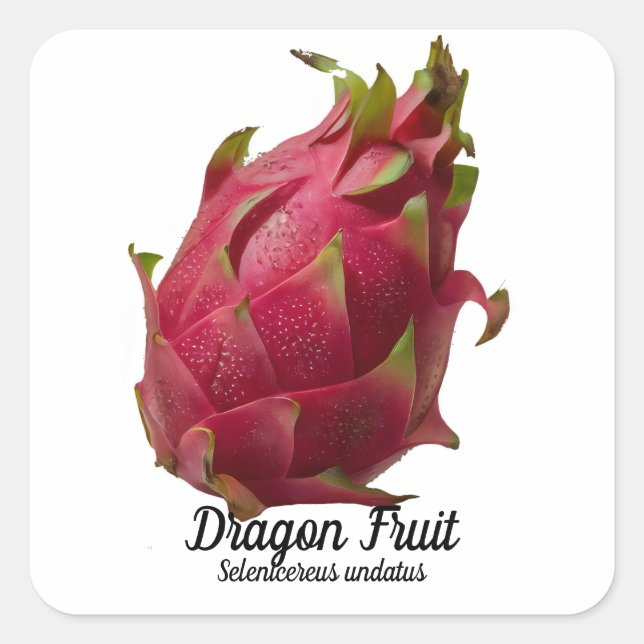 Dragon Fruit Quadratischer Aufkleber (Vorderseite)
