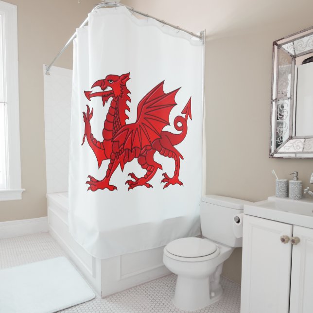 Dragon gallois avec rideau de douche à effet bisea (En situation)
