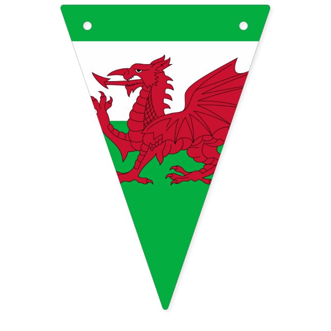 Dragon gallois ~ Drapeau du Pays de Galles (Premier drapeau)
