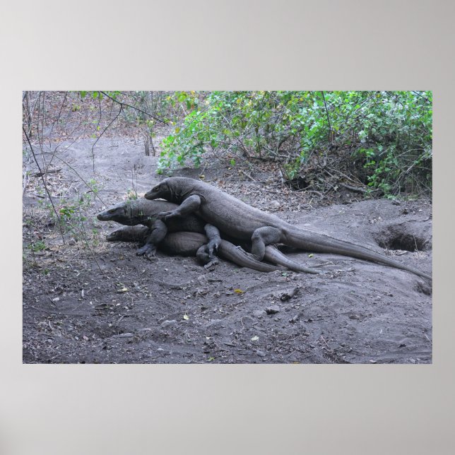 Dragon-Liebe Poster (Vorne)