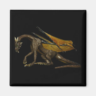 Dragon Magnet