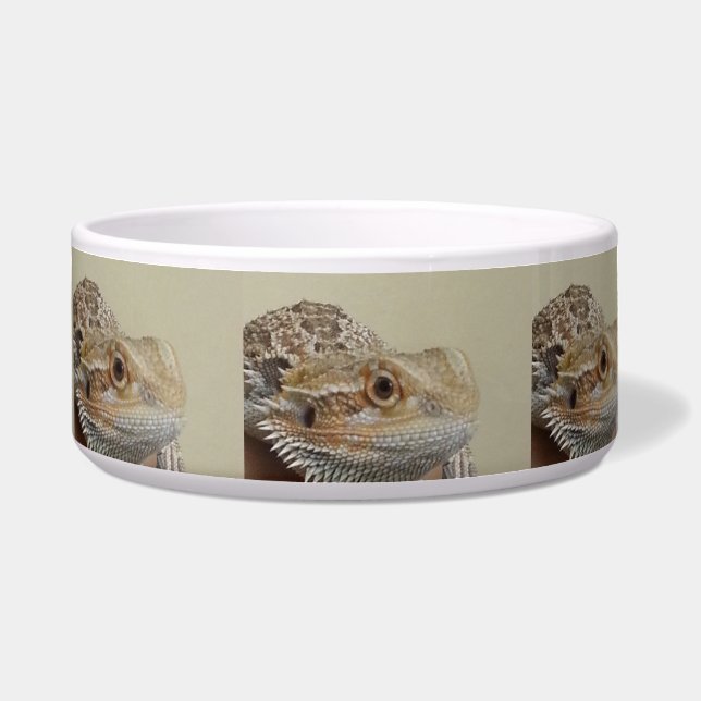 Dragon Napf (Vorderseite)