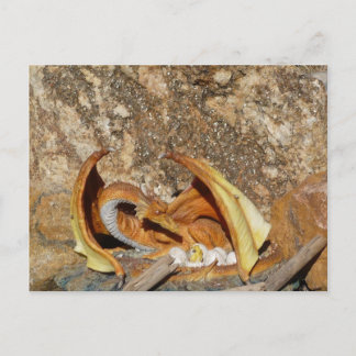 Dragon Post Card Postkarte
