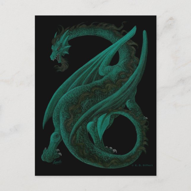 Dragon Postkarte (Vorderseite)