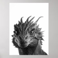 Dragon realistisches Portrait Kinderzimmer