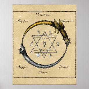 Dragon und Snake Ouroboros Mandala Poster
