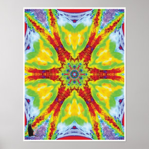 Dragoneye Kinetic Collage Kaleidoscope Poster