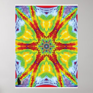 Dragoneye Kinetic Collage Kaleidoscope Poster