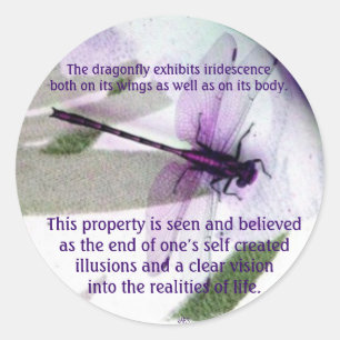 Dragonfliegen Iridescence Runder Aufkleber