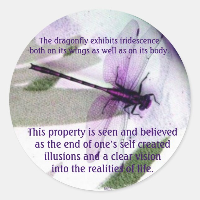 Dragonfliegen Iridescence Runder Aufkleber (Vorderseite)