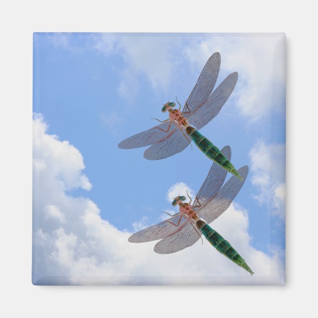 Dragonflies Ciel Bleu Nuages Nature Magnet (Devant)