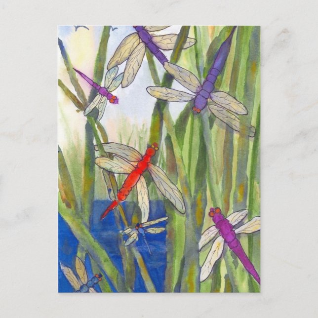 Dragonflies Summer Postkarte (Vorderseite)
