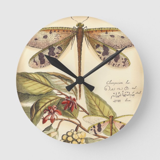 Dragonflies with Leaves and Fruit Runde Wanduhr (Vorderseite)