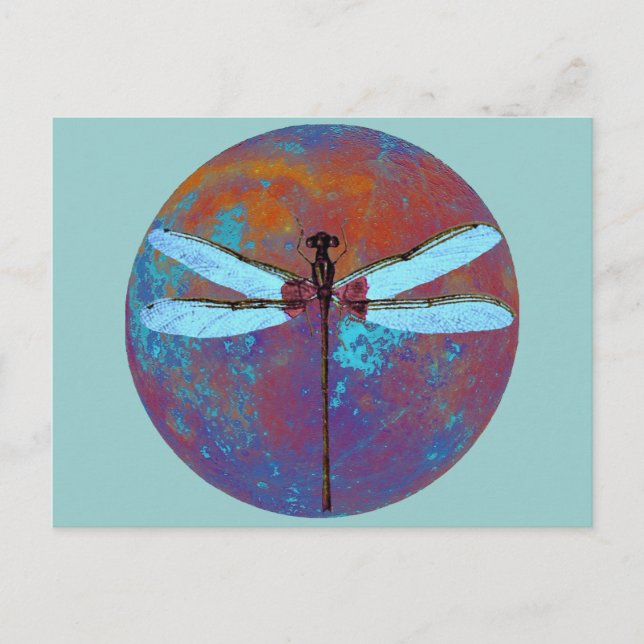 Dragonflight Postkarte (Vorderseite)