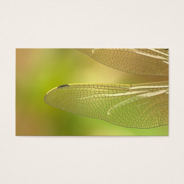 Dragonfly-348433 Libelleninsektensumme (Vorderseite)