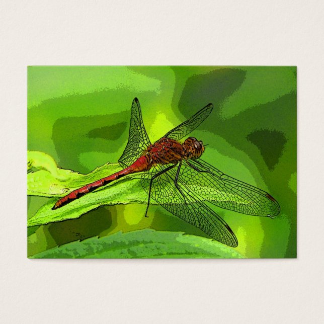 Dragonfly ATC (Vorderseite)