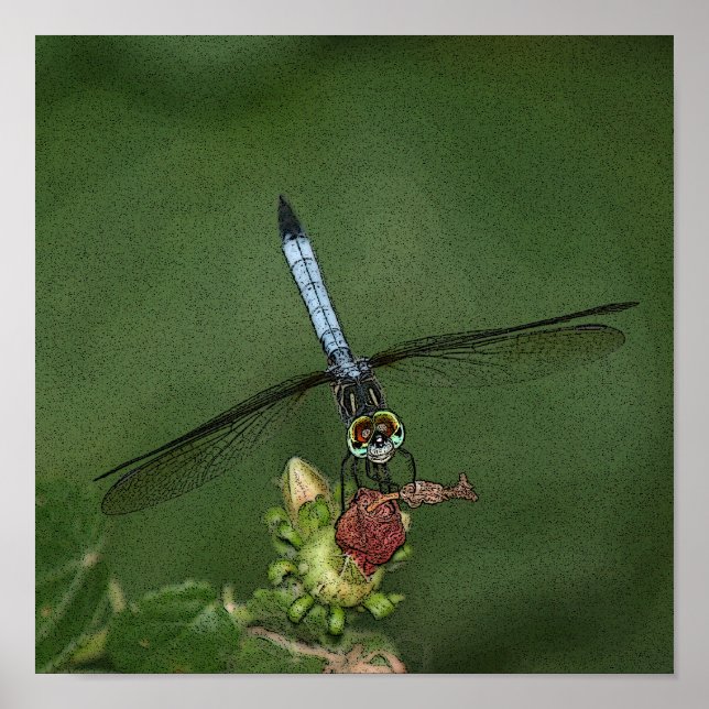 Dragonfly auf der Blume Foto Print Poster (Vorne)
