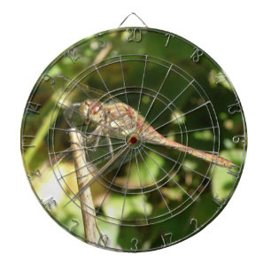 Dragonfly auf der Twig-Dart-Tafel Dartscheibe