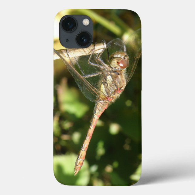 Dragonfly auf einem Twig-iPad-Fall Case-Mate iPhone Hülle (Rückseite)