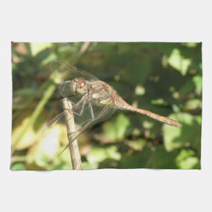 Dragonfly auf einem Twig-Küchentuch Geschirrtuch