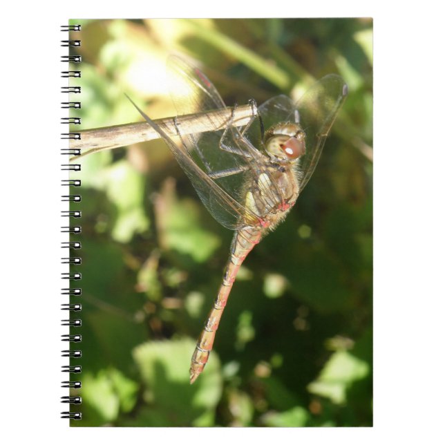 Dragonfly auf einem Twig-Notebook Notizblock (Vorderseite)