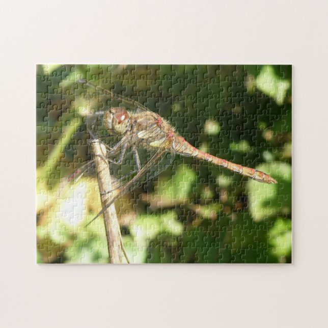 Dragonfly auf einem Twig-Puzzle (Horizontal)