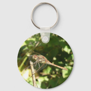 Dragonfly auf einem Twig-Schlüsselanhänger Schlüsselanhänger