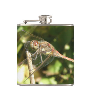 Dragonfly auf einer Twig-Flasche Flachmann