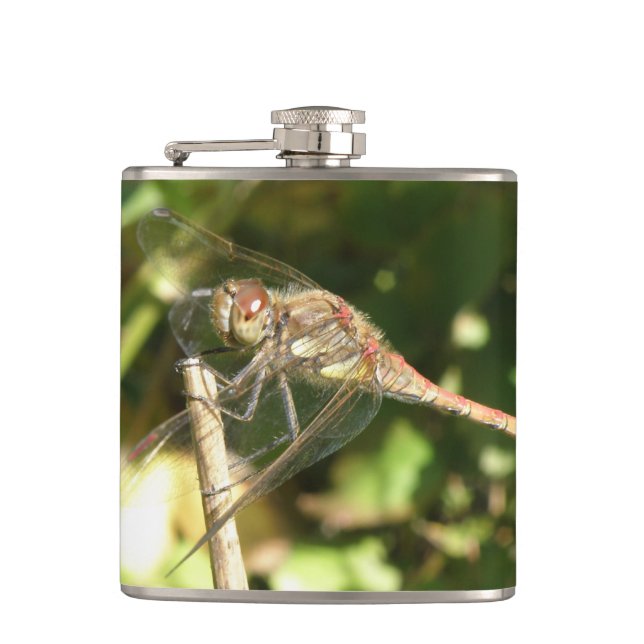 Dragonfly auf einer Twig-Flasche Flachmann (Vorderseite)