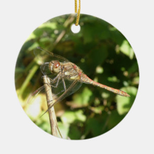 Dragonfly auf einer Twig-Ornament Keramik Ornament