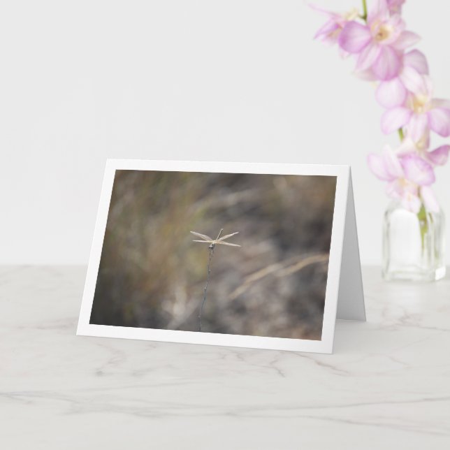 Dragonfly auf Stalk Portrait Karte (Orchidee)