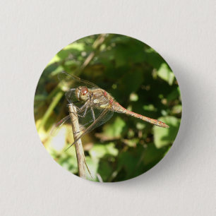 Dragonfly auf Twig Button