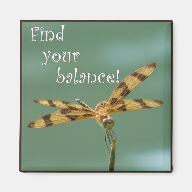 Dragonfly Balance Magnet (Vorne)