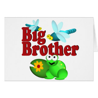 Dragonfly Big Brother