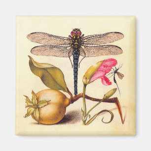 Dragonfly, Birne, Narbe und Insekt Magnet