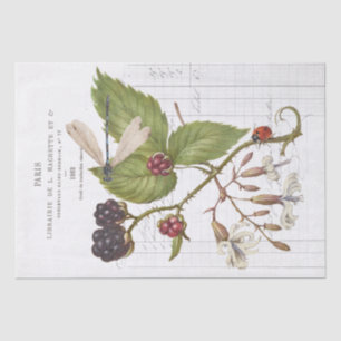 Dragonfly BlackBerry Ladybug Vintages französische Seidenpapier