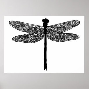 dragonfly Bug Insect nature Silhouette art Poster