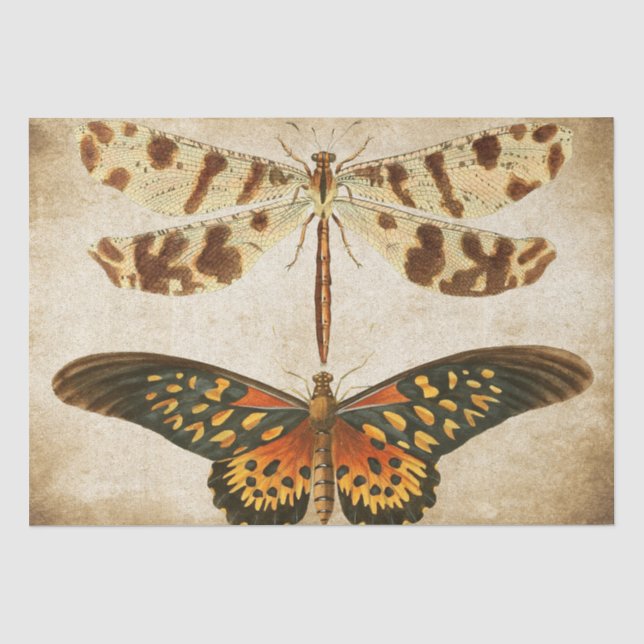 Dragonfly Butterfly-Entcoup Seidenpapier (Vorderseite)
