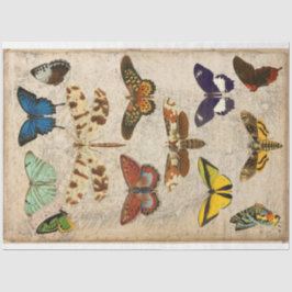 Dragonfly Butterfly-Modeputin Seidenpapier