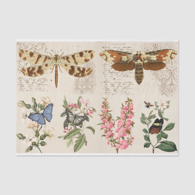 Dragonfly Butterfly Moth Blume Seidenpapier (Vorderseite)