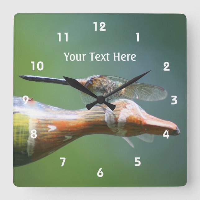 Dragonfly Co Pilot Cute Nature Quadratische Wanduhr (Vorderseite)
