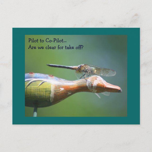 Dragonfly Co Pilot Humorale Natur Postkarte (Vorderseite)
